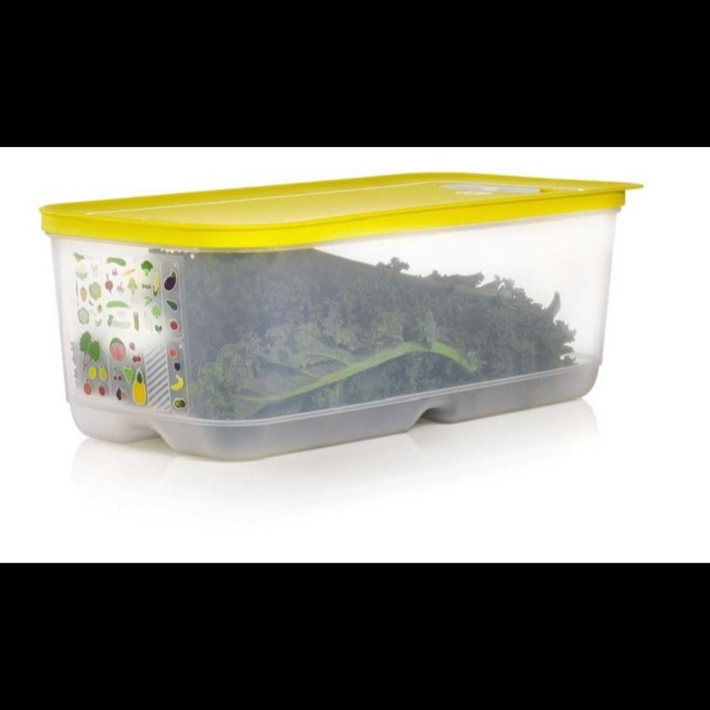 Tupperware Large Fridgesmart